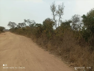 Land