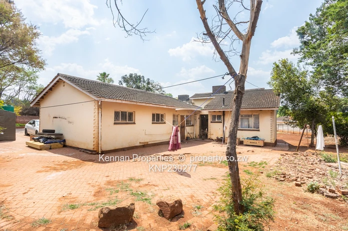 Renovator's Dream - Nostro!