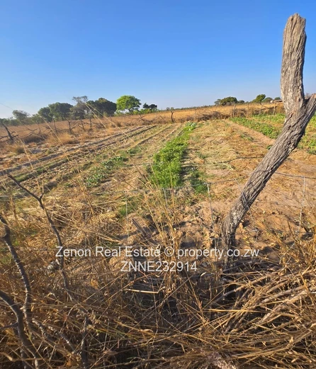 16ha farm with a 5Bed house in Beatrice, 250k, Ready for deeds  (Sole Mandate)