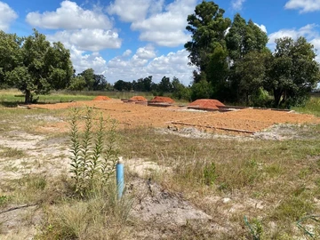 Stands & Residential Land