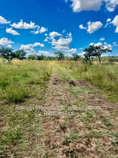 Gutu farm for sale 