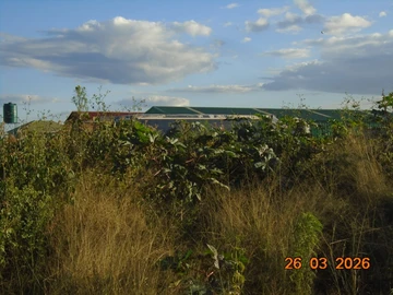 Commercial & Industrial Land