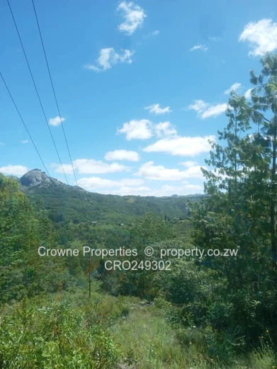 Plot For Sale