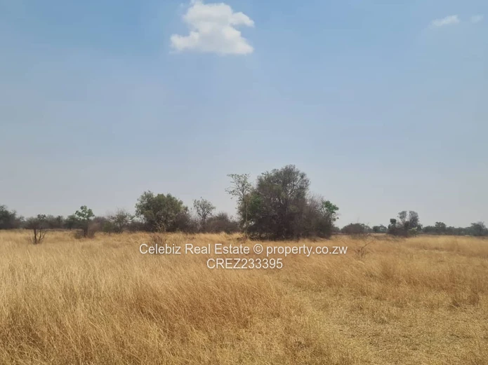 Norton plot for sale 