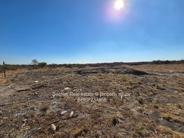 Stand for Sale in Woodville North