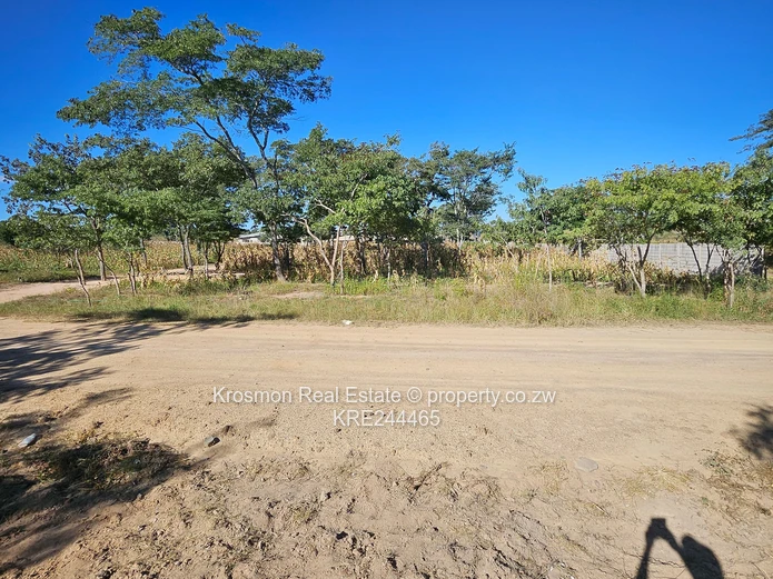 Title deed...Secure 2,330 m² Residential Stand in Roodsflvie Marondera