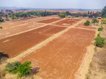 Farm & Agricultural Land