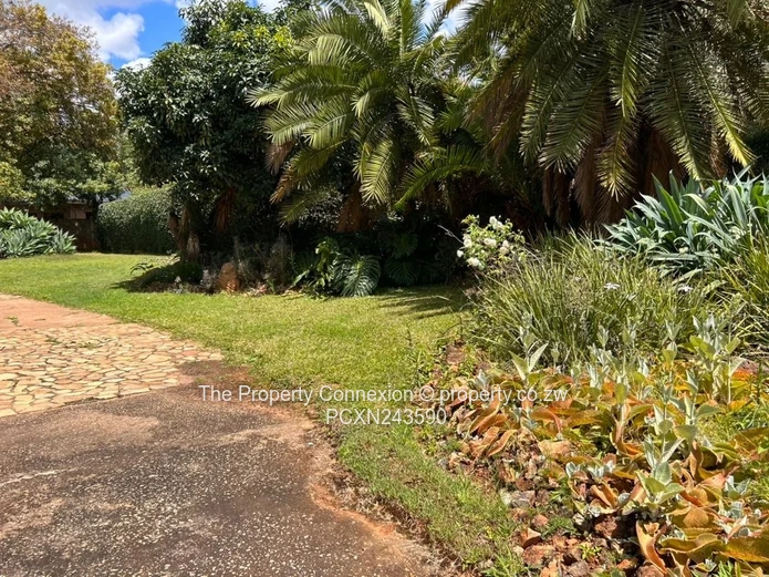 Prime 4-Bedroom Wing to Rent – Borrowdale, Harare North