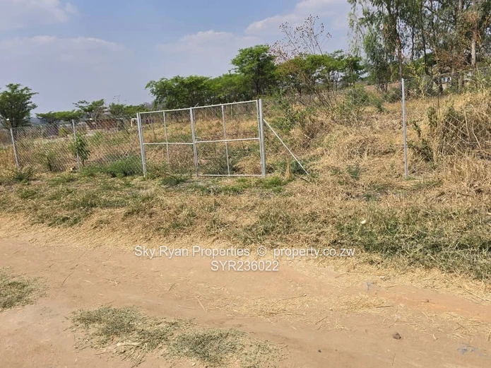 Crowhill Stand For Sale