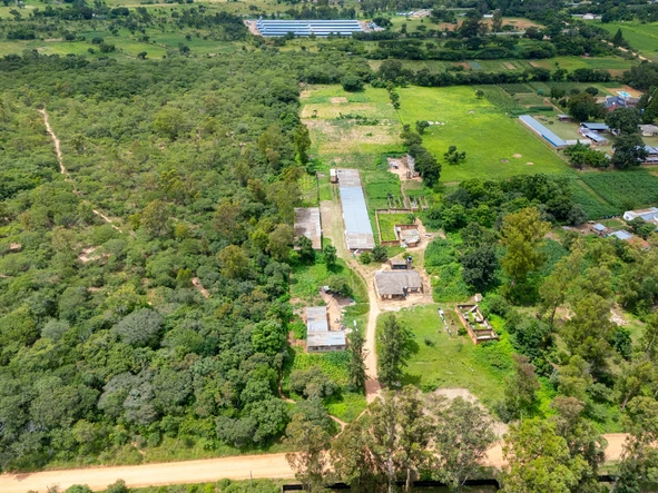 Farm & Agricultural Land