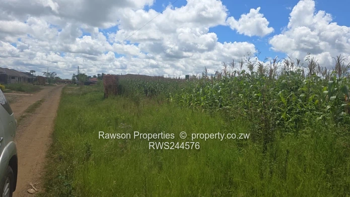 Make a good choice and secure a stand!!