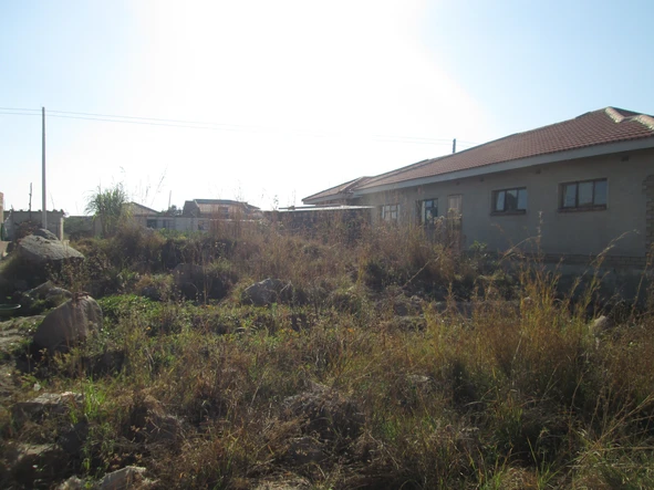 Stands & Residential Land