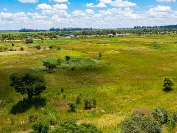 Stands & Residential Land