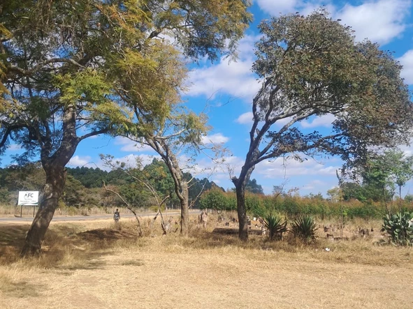Commercial & Industrial Land