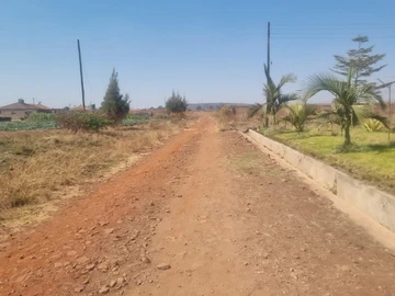 Stands & Residential Land