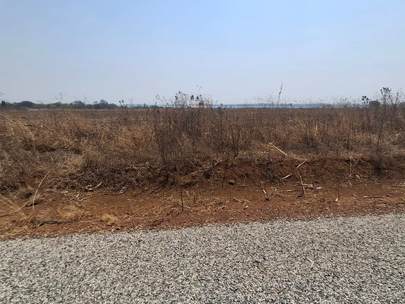 Farm & Agricultural Land