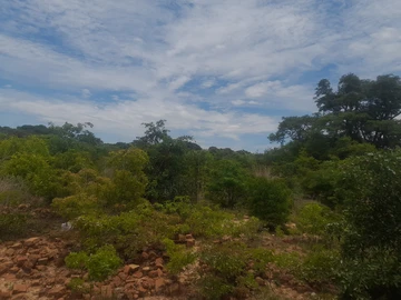 Farm & Agricultural Land