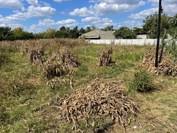 Stands & Residential Land