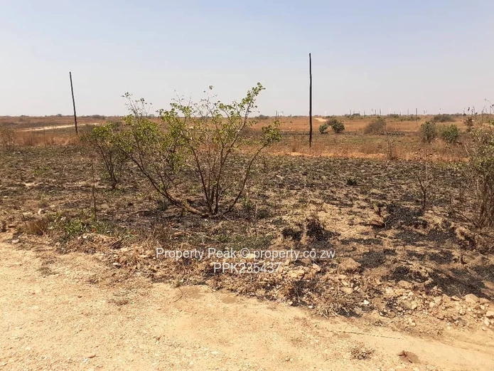 Nyabira rosewood stand  for sale