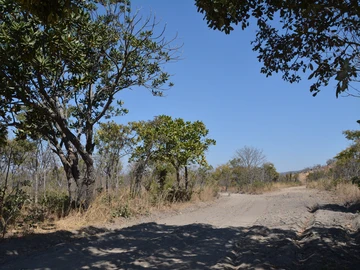 Farm & Agricultural Land