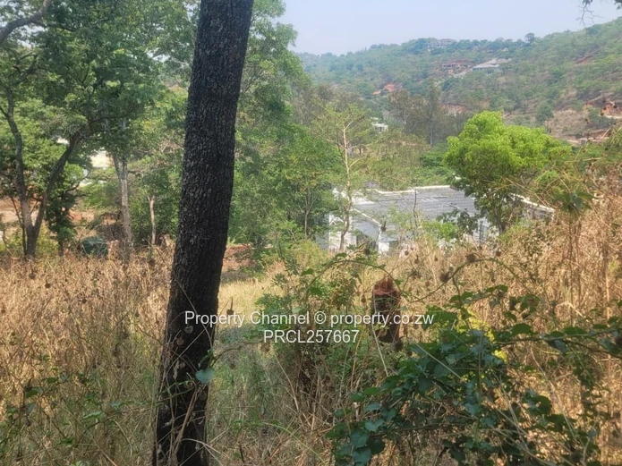 Available is a 2500m² Glen Lorne Stand