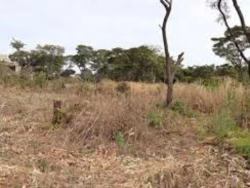 Farm & Agricultural Land