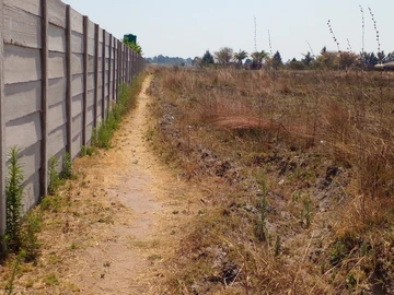 Farm & Agricultural Land