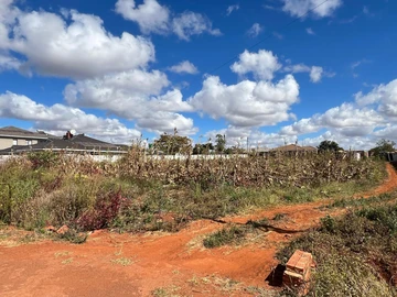 Stands & Residential Land