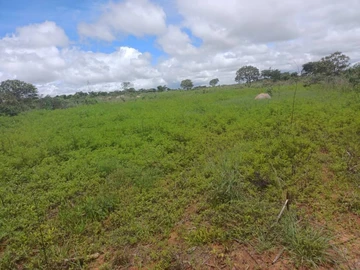 Farm & Agricultural Land