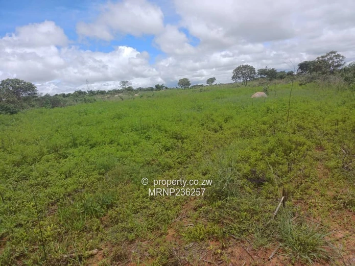 Headlands EagleNest Plot for sale (Sole Mandate)