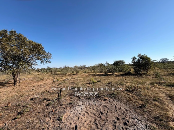 Agro-Residential Plots 10Ha-30Ha (Sole Mandate)