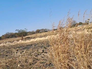 Land