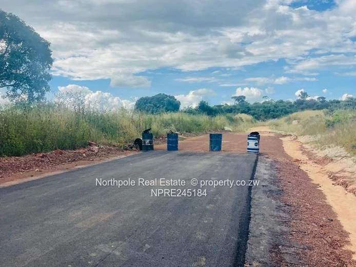 Rock Ridge Estate Stand For Sale