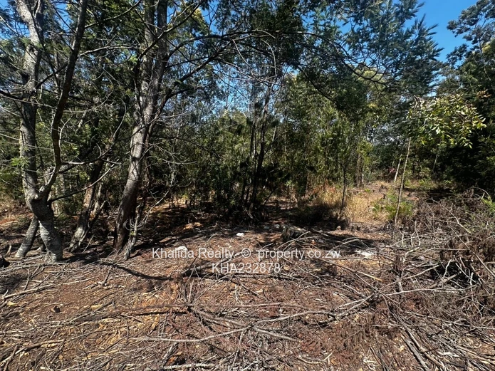 Prime 8,000sqm Stand for Sale – Juliusdale, Nyanga  (Sole Mandate)