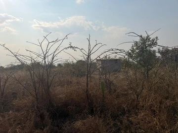 Land