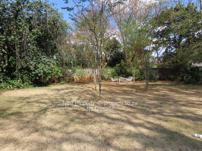 Position and Potential in Alexandra Park!