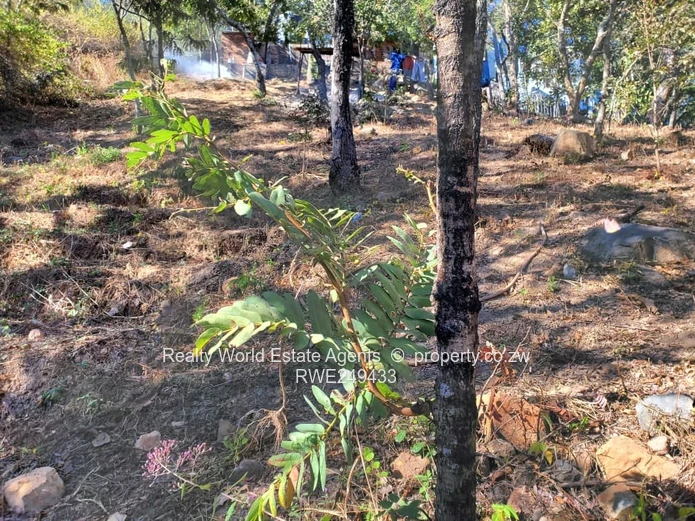 Residential Stand for Sale – Glen Lorne