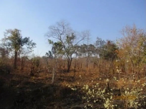 Commercial & Industrial Land