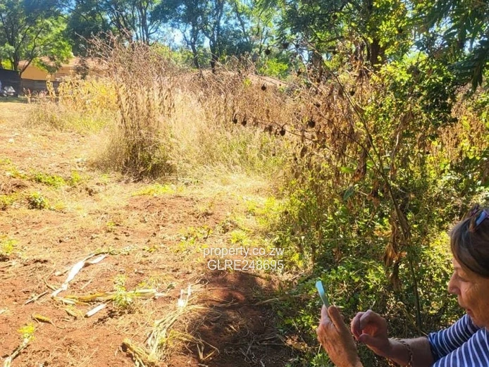 Vacant 4200m² Greendale Stand — Subdividable, Tarred Road