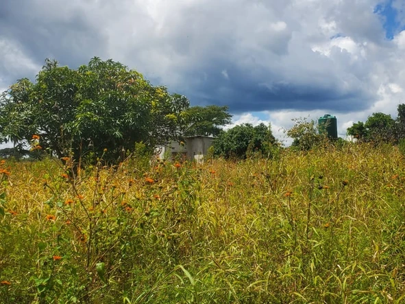 Farm & Agricultural Land