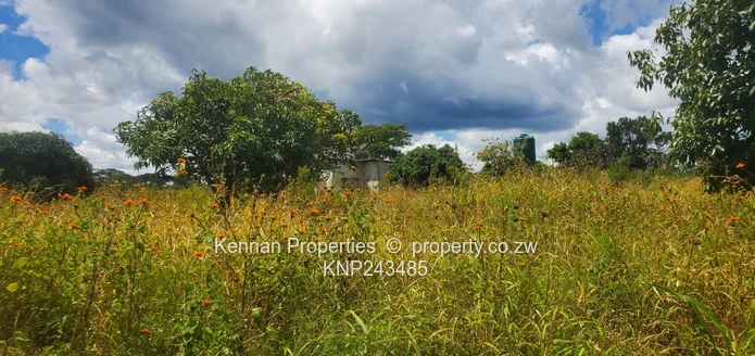 5 Acres Central Gweru With Deeds!