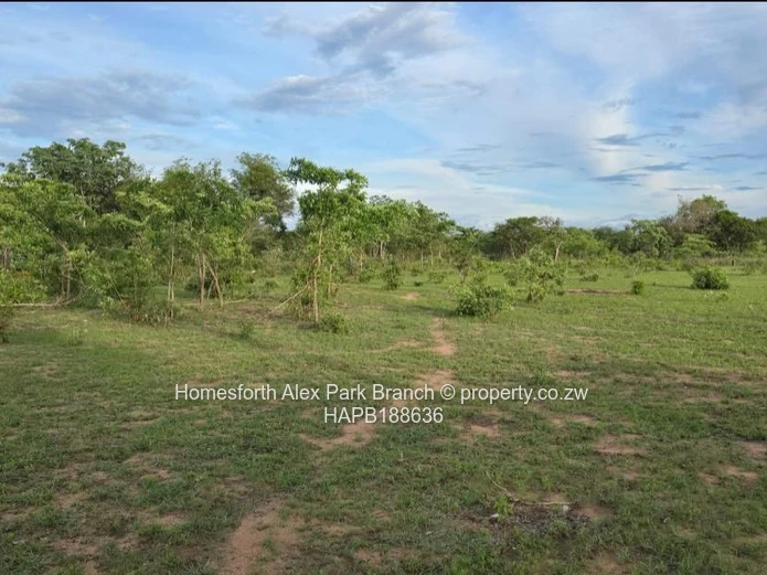 Kadoma Clonmoran Plot 