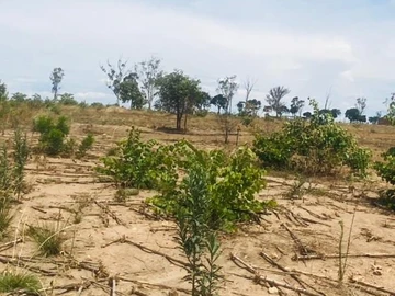 Commercial & Industrial Land