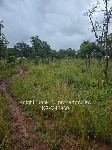 6000m² Shawasha Hills Stand — Access Controlled, Tarred