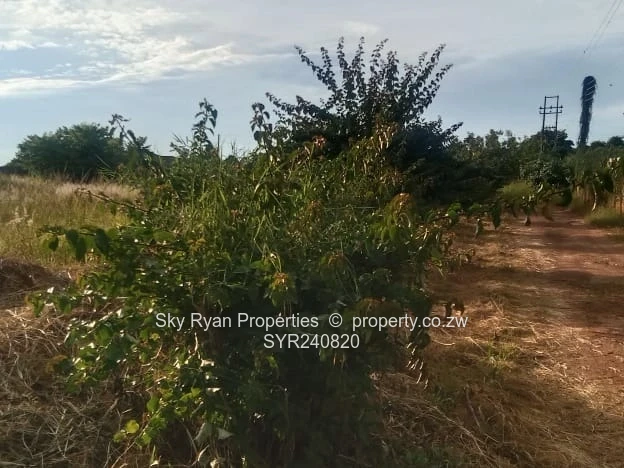 Borrowdale Quinnington Subdivision Stands For Sale