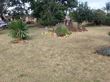 Stands & Residential Land