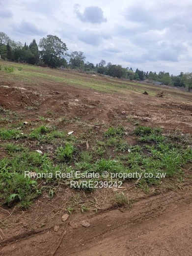 Old Marlborough 800- 1000sqm stands 