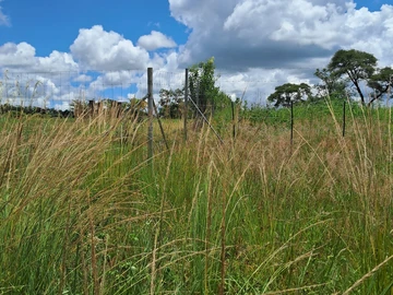 Farm & Agricultural Land