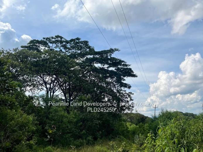 Chipinge Bangazani 1000sqm 