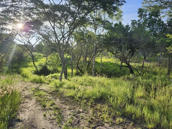 Farm & Agricultural Land